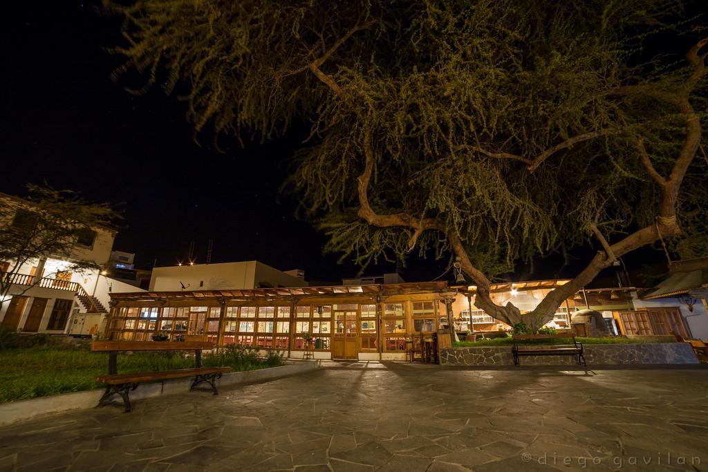 Hotel El Huarango Іка Екстер'єр фото