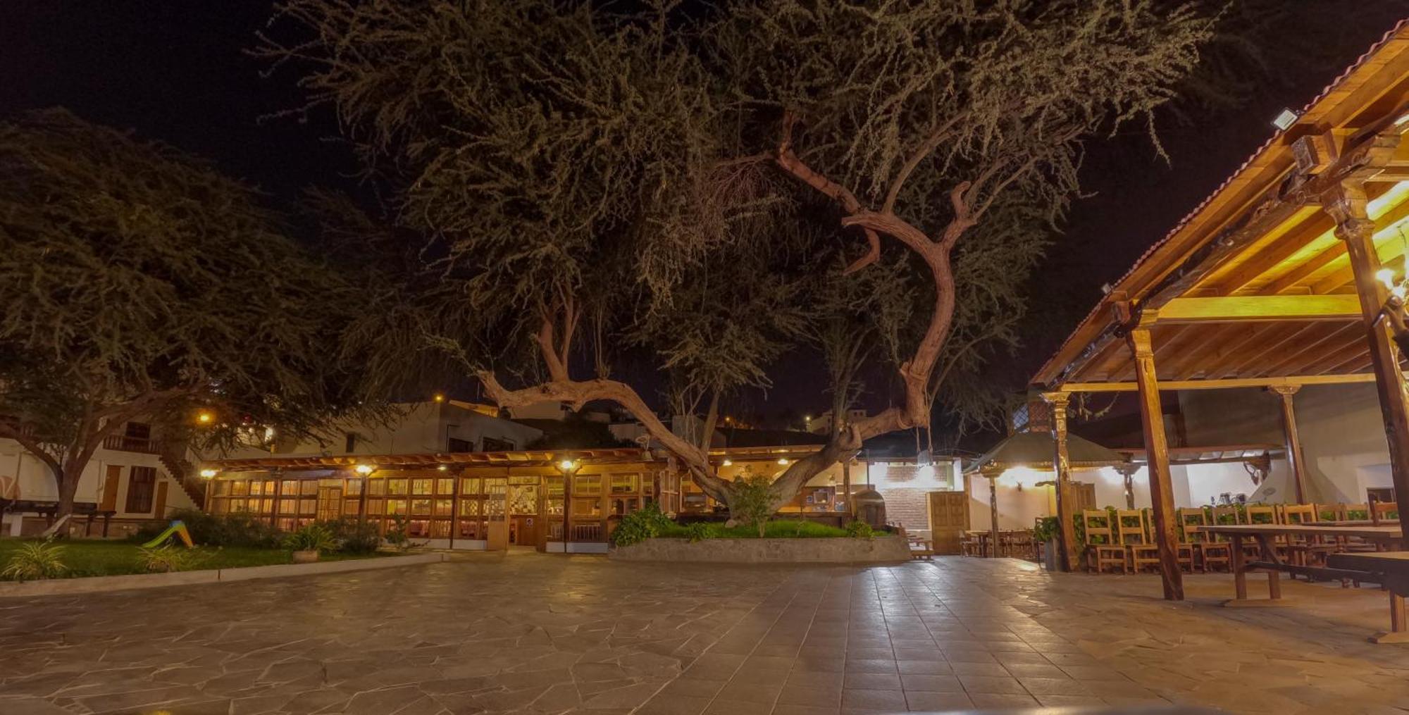 Hotel El Huarango Іка Екстер'єр фото